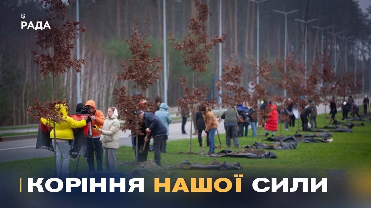 Кожен дуб – історія життя та подвигу полеглого воїна