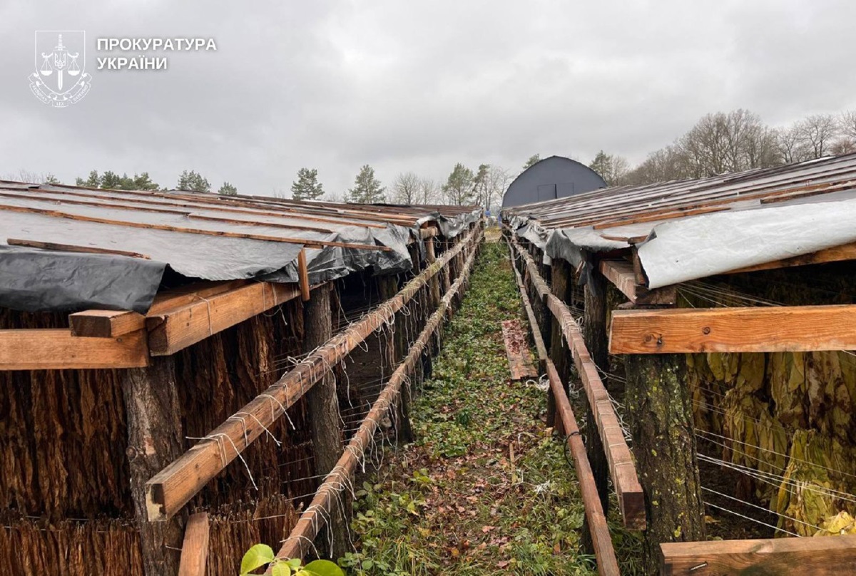 Новини України - На Хмельниччині викрили підпільне виробництво тютюну