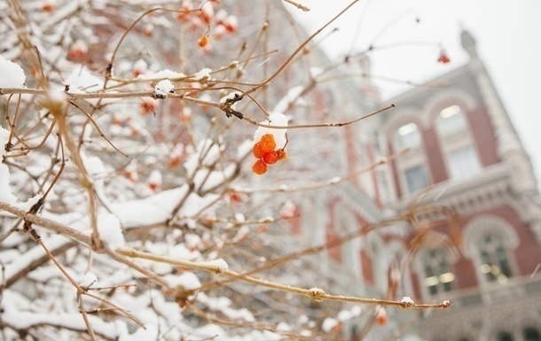 Нацбанк продав рекордну кількість доларів за рік